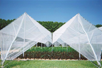 Close-up of knitted anti hail net mesh geometry
