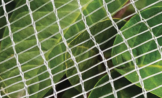 Support cable and fixing clip detail on an anti hail net installation