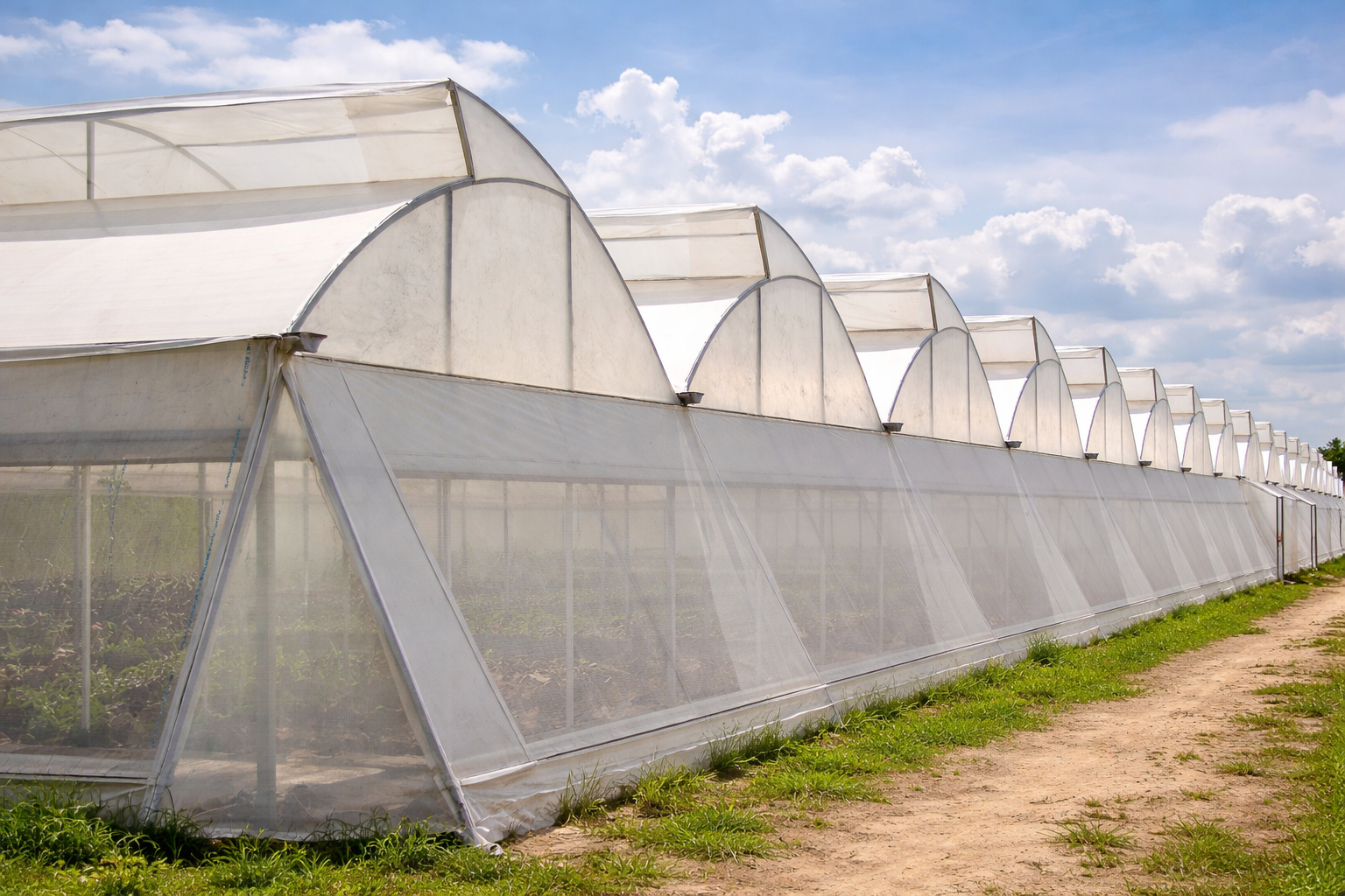 Roof ridge ventilation opening on a naturally ventilated polyhouse
