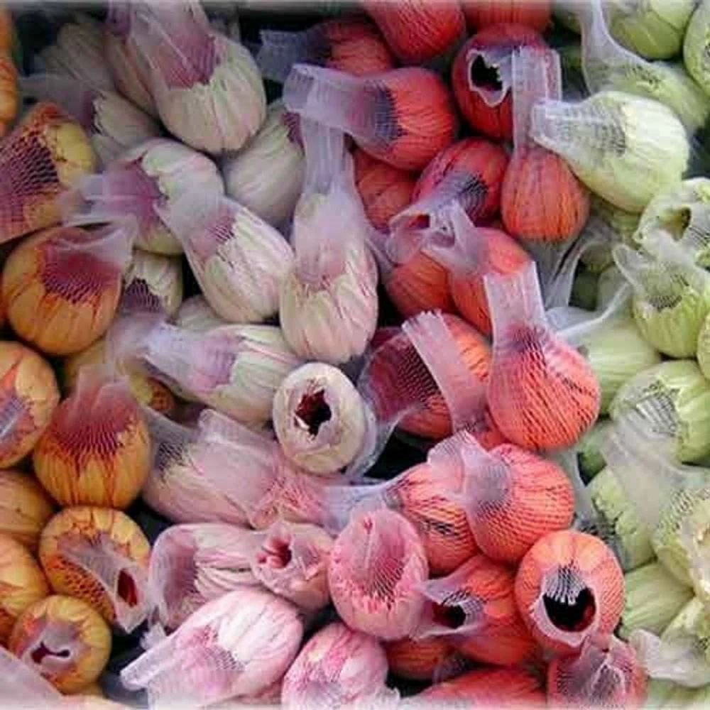Sleeved rose stems bunched and graded for packing
