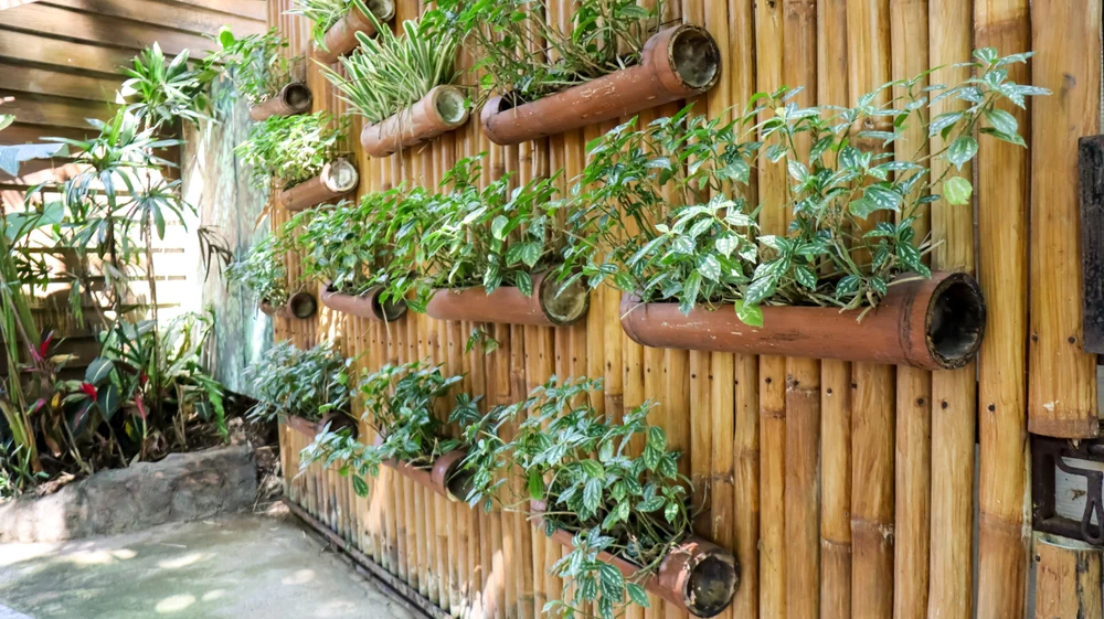Interior living wall in a commercial lobby space